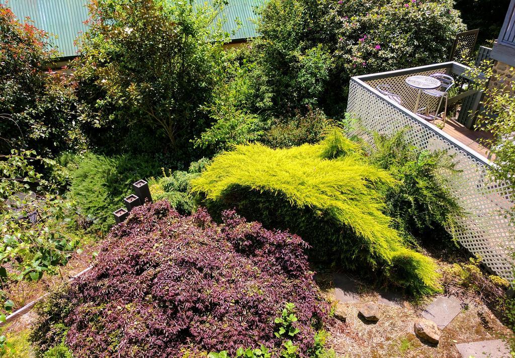 Annie Roes Luxury B&B Bend of Islands Eksteriør bilde